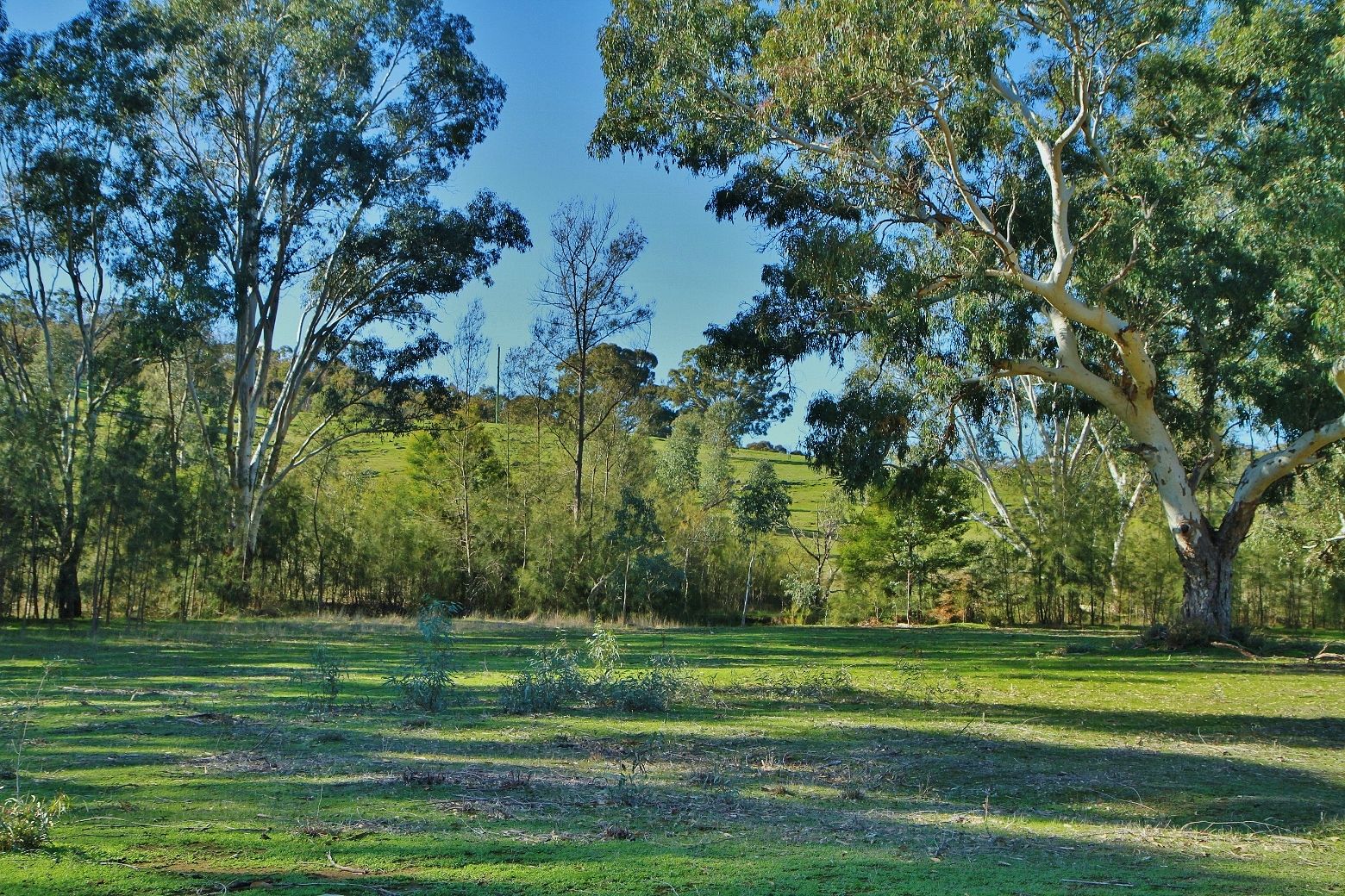 Fourth view of Homely land listing, CA B15D, B15D1 Spring Flat Road, Heathcote VIC 3523