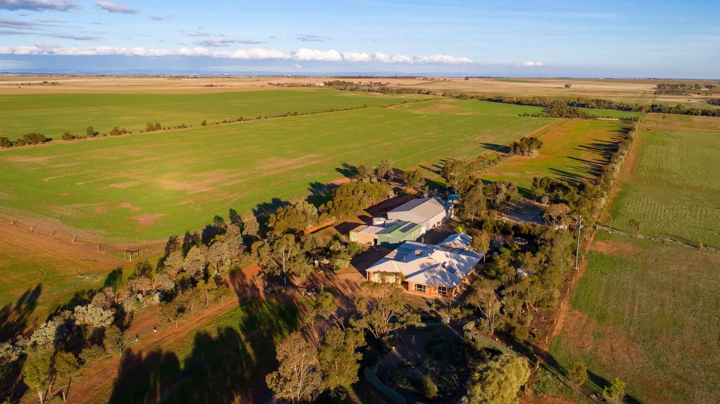 Main view of Homely house listing, 20 Hamley Bridge Road, Mallala SA 5502