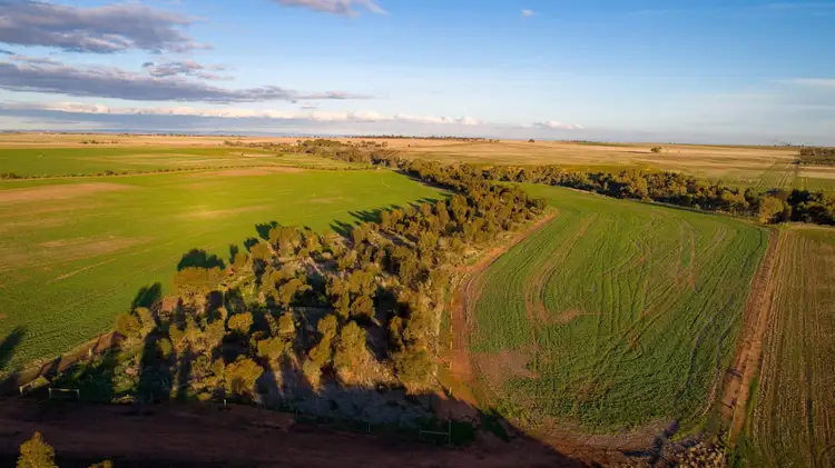 Second view of Homely house listing, 20 Hamley Bridge Road, Mallala SA 5502