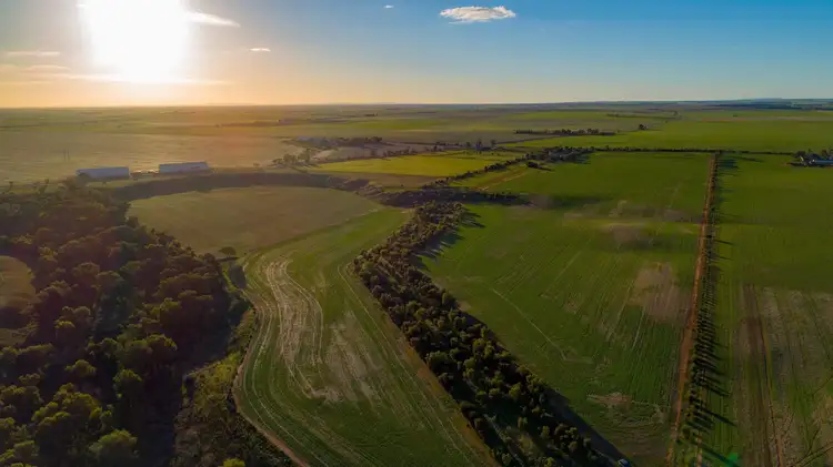 Third view of Homely house listing, 20 Hamley Bridge Road, Mallala SA 5502