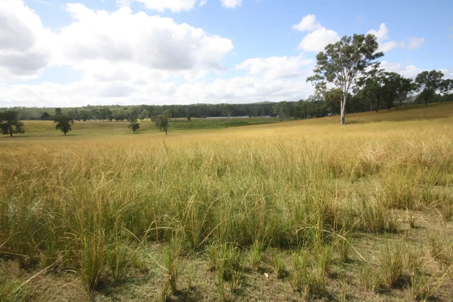 Main view of Homely rural property listing, Lot 22 Fishers Road, Kolonga, Gin Gin QLD 4671