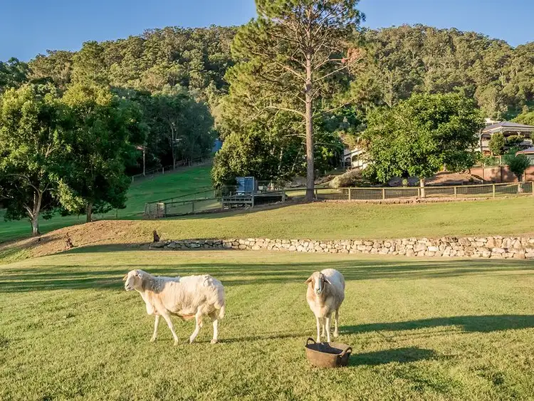 Third view of Homely rural property listing, 118 Crest Hill Drive, Wongawallan QLD 4210