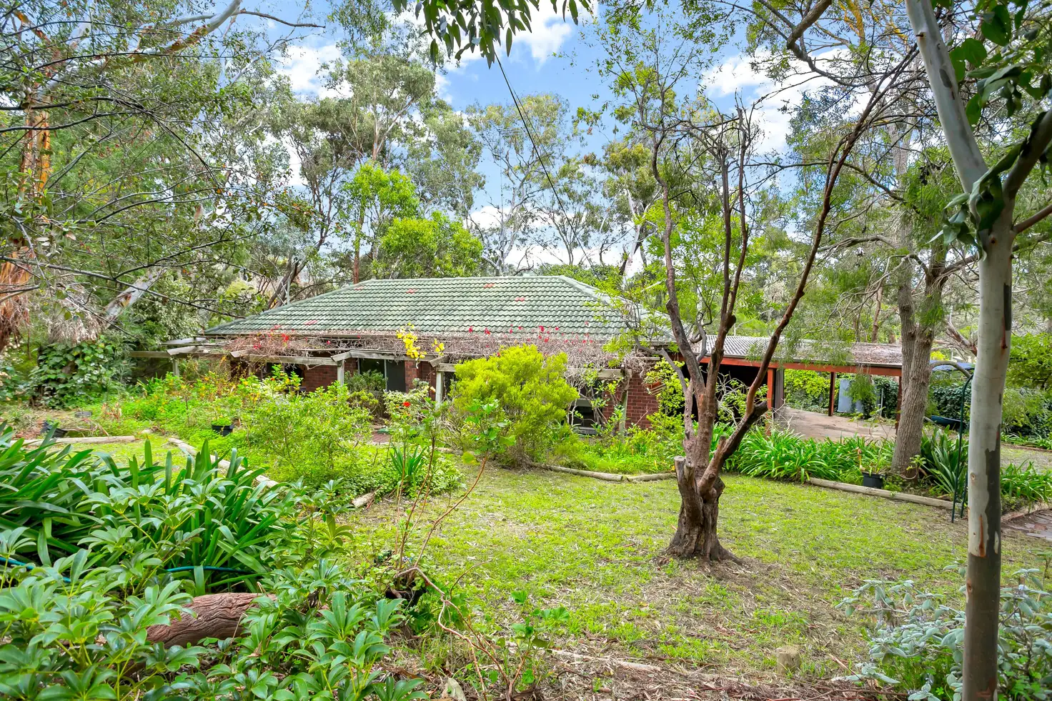 Main view of Homely house listing, 24 Hurds Hill Drive, Coromandel Valley SA 5051