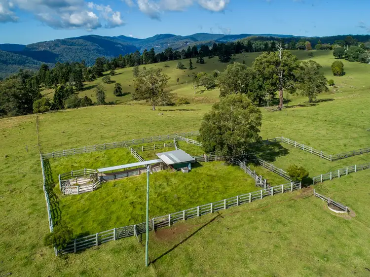 Seventh view of Homely rural property listing, 320 Tabletop Road, Illinbah QLD 4275