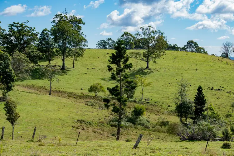 Fifth view of Homely rural property listing, 320 Tabletop Road, Canungra QLD 4275