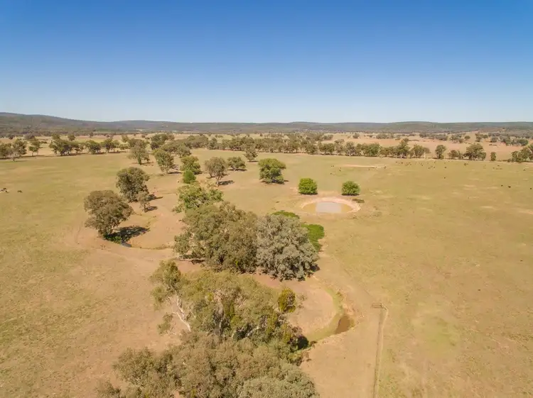 Lot 3 Part 'Lowanna' Frying Pan Gully Road, Cowra NSW 2794