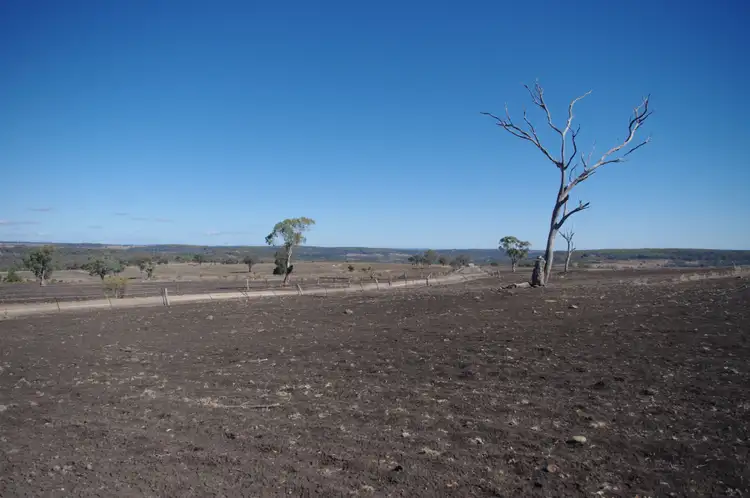 Sixth view of Homely rural property listing, Address available on request