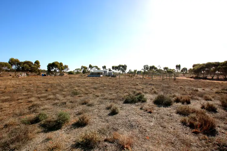 690A Thiele Road, Loveday SA 5345