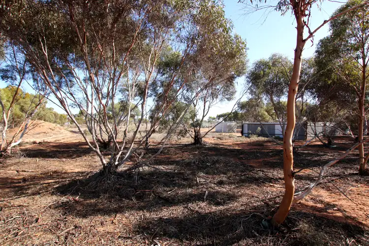 Seventh view of Homely land listing, 690A Thiele Road, Loveday SA 5345