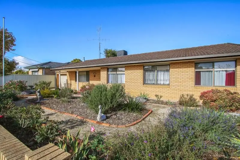 Main view of Homely house listing, 19 Wenke Street, Walla Walla NSW 2659