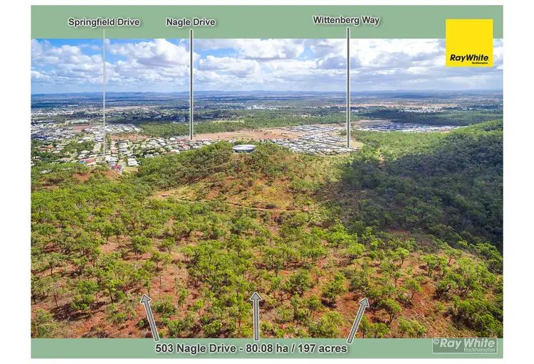 503 Nagle Drive, Norman Gardens QLD 4701