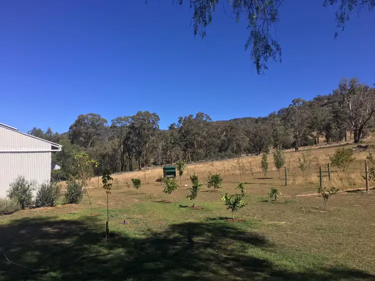 Second view of Homely rural property listing, Lots 2 and 3 Halls Creek Road, Halls Creek NSW 2346