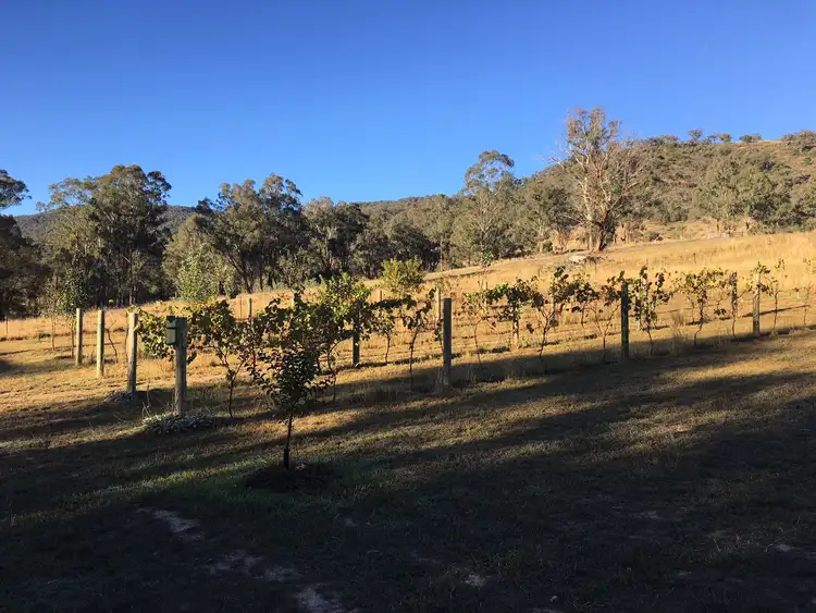 Fifth view of Homely rural property listing, Lots 2 and 3 Halls Creek Road, Halls Creek NSW 2346