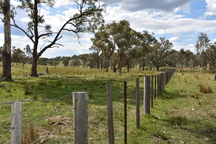 Fourth view of Homely rural property listing, 757 New England Highway, Glen Innes NSW 2370