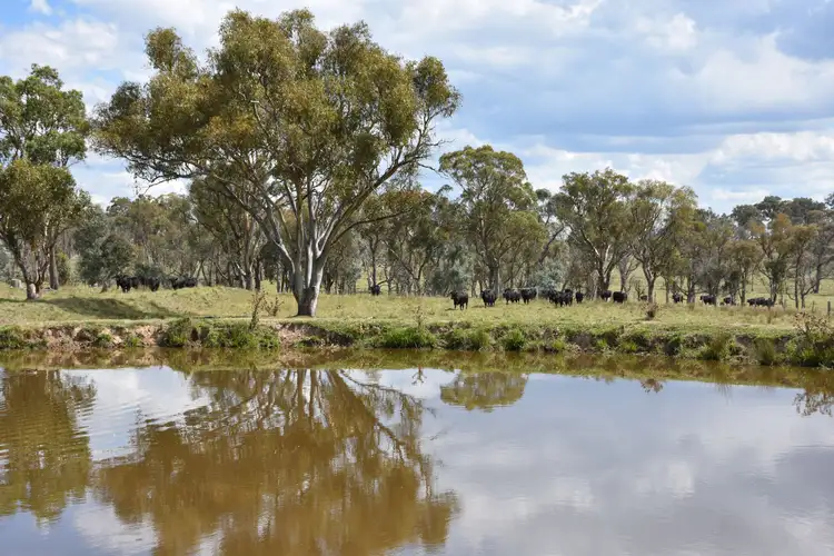 Seventh view of Homely rural property listing, 757 New England Highway, Glen Innes NSW 2370