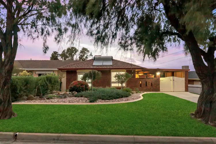 Second view of Homely house listing, 20 The Parade, Holden Hill SA 5088