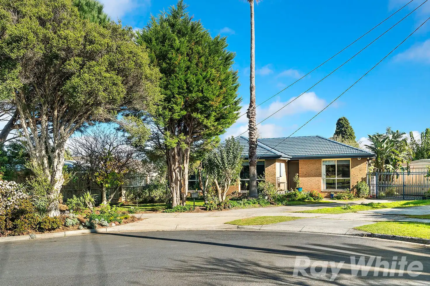 Main view of Homely house listing, 1 Larado Place, Clayton South VIC 3169