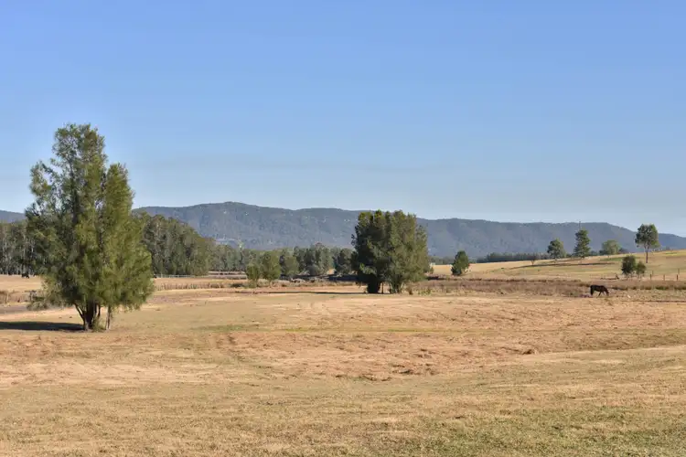 Seventh view of Homely land listing, 31 Mulbring Street, Ellalong NSW 2325