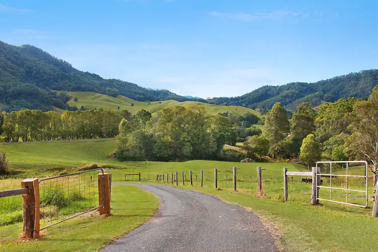 Fourth view of Homely rural property listing, 1 Carilla Place, Eungella NSW 2484