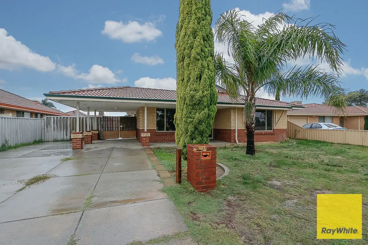 Main view of Homely house listing, 3 Greygum Rise, Kenwick WA 6107