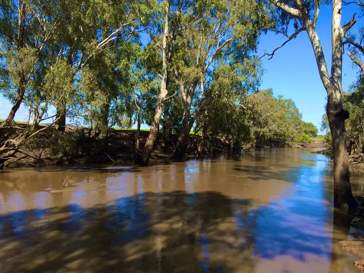 Second view of Homely rural property listing, Prairie Vale 2144 Casuarina Drive, Gooloogong NSW 2805