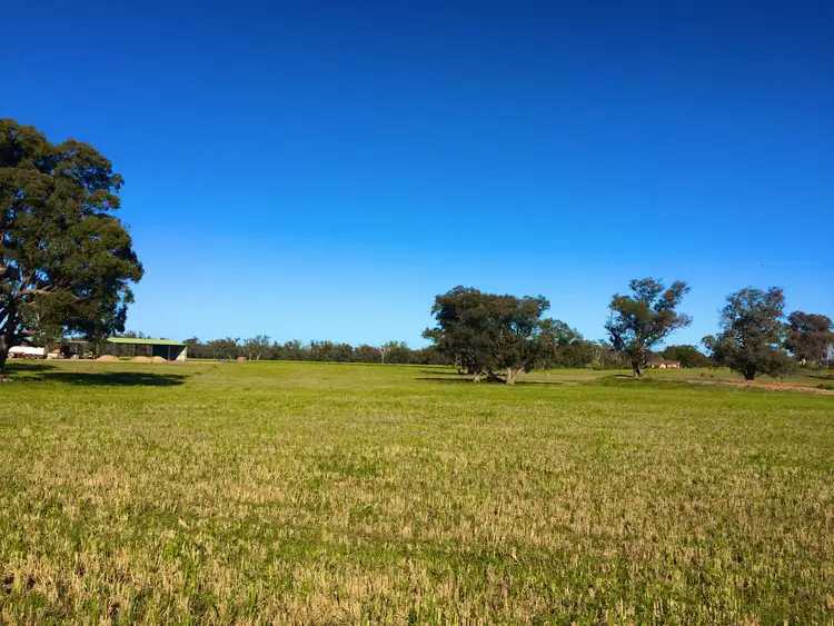 Fourth view of Homely rural property listing, Prairie Vale 2144 Casuarina Drive, Gooloogong NSW 2805