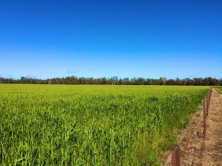 Fifth view of Homely rural property listing, Prairie Vale 2144 Casuarina Drive, Gooloogong NSW 2805