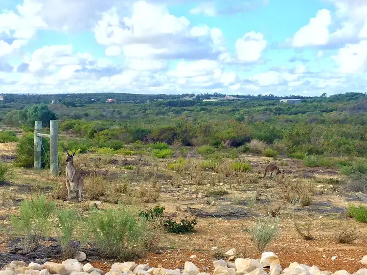 Second view of Homely land listing, Lot 176 Trig Point Road, Jurien Bay WA 6516