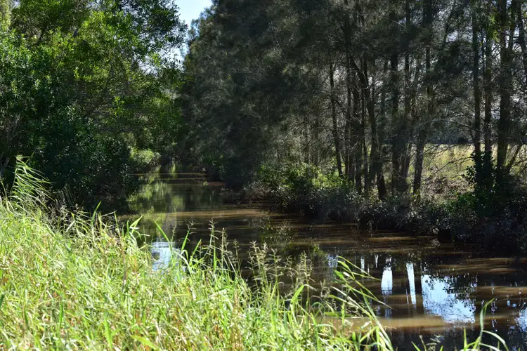 Sixth view of Homely rural property listing, 721-761 Yandina Coolum Road, Yandina Creek QLD 4561