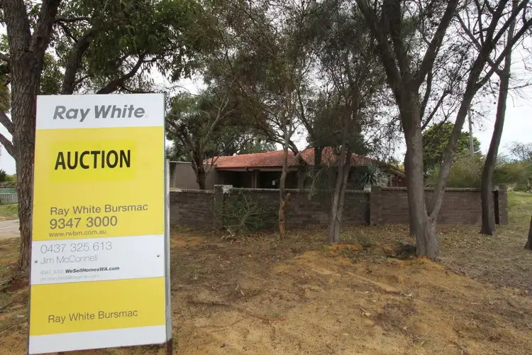 Second view of Homely house listing, 48 Dryandra Drive, Mirrabooka WA 6061