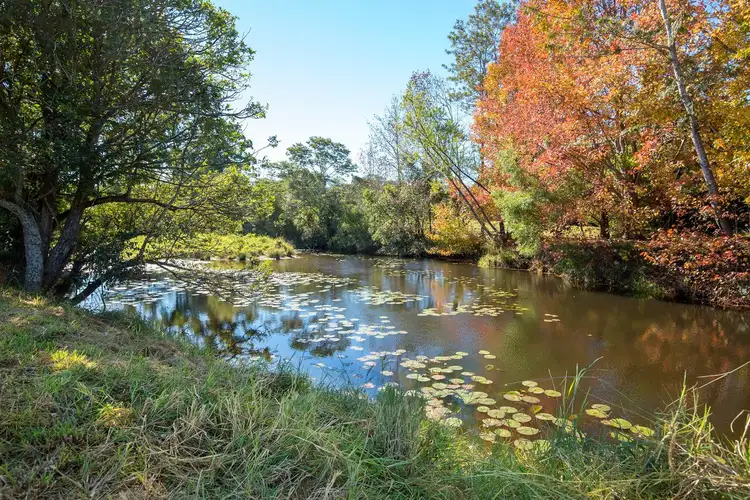 Second view of Homely rural property listing, 347 Hydes Creek Road, Bellingen NSW 2454