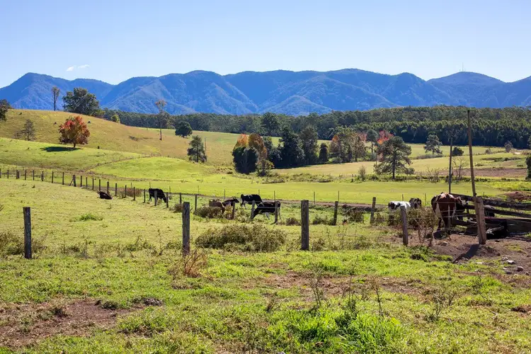 Third view of Homely rural property listing, 347 Hydes Creek Road, Bellingen NSW 2454