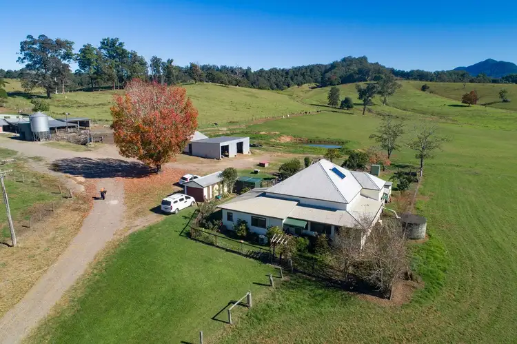 Sixth view of Homely rural property listing, 347 Hydes Creek Road, Bellingen NSW 2454