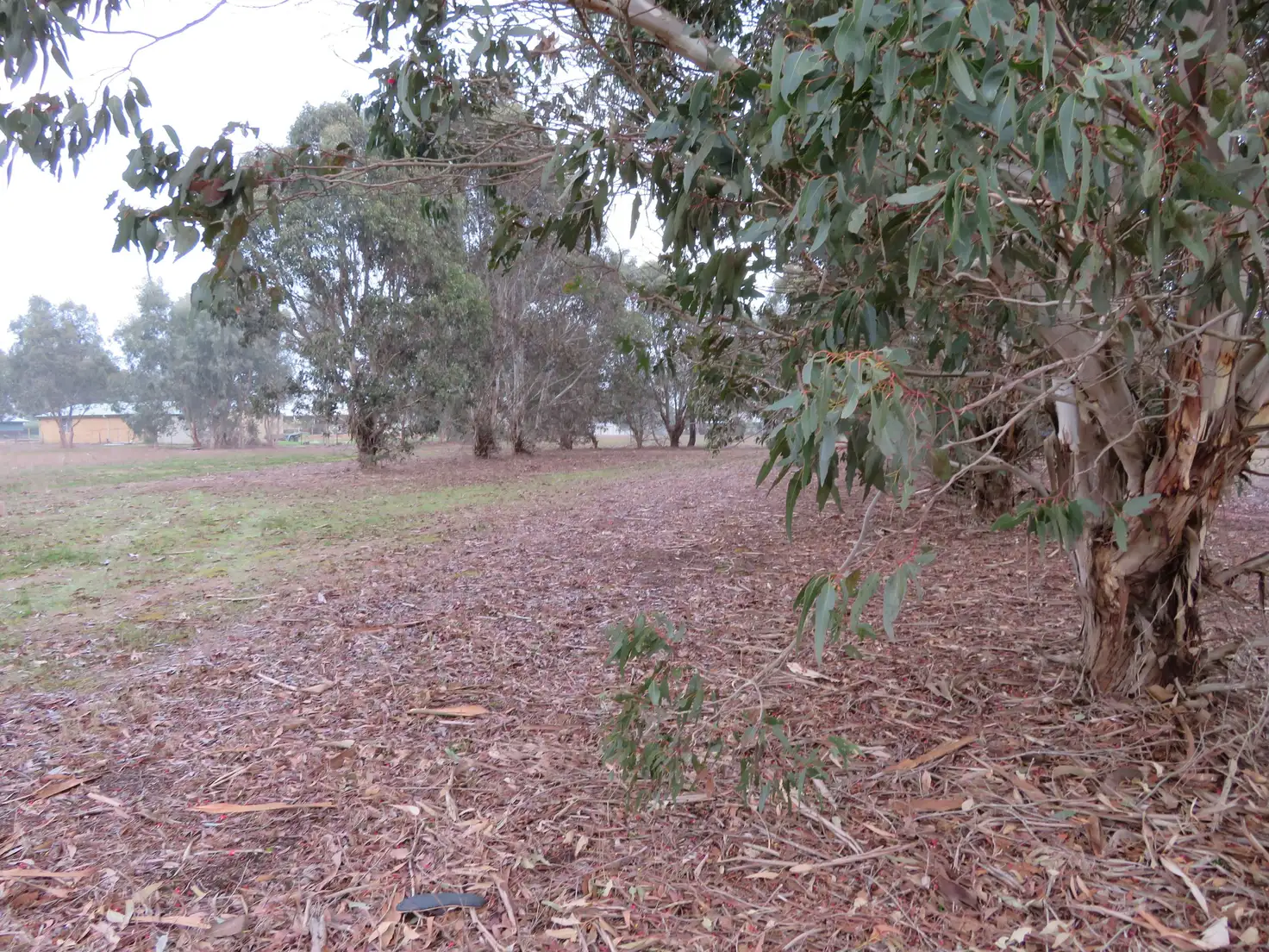 Main view of Homely land listing, 133 Third Avenue, Kendenup WA 6323