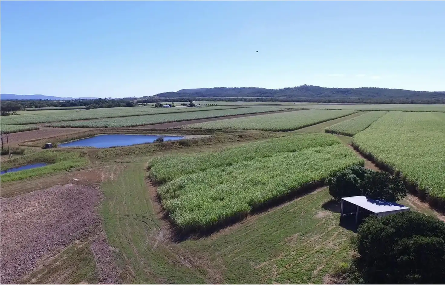 Main view of Homely rural property listing, 80 Cone Creek Road, Koumala QLD 4738