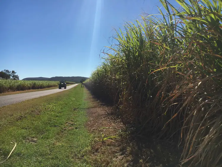 Second view of Homely rural property listing, 80 Cone Creek Road, Koumala QLD 4738