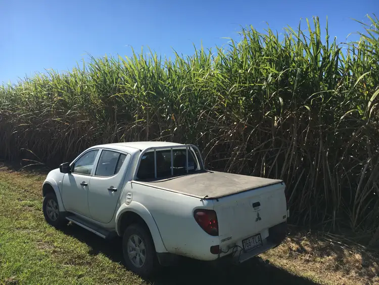 Fifth view of Homely rural property listing, 80 Cone Creek Road, Koumala QLD 4738