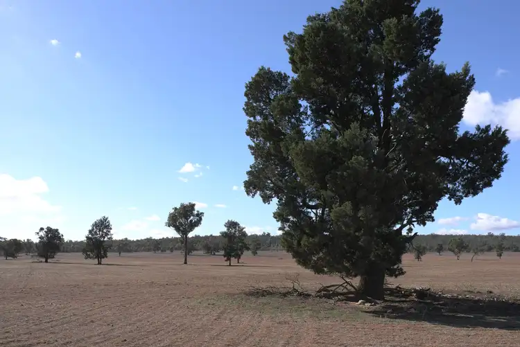 Fourth view of Homely rural property listing, Address available on request