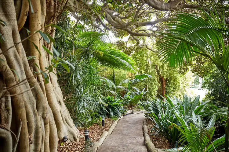 Fifth view of Homely house listing, 2 Ida Avenue, Mosman NSW 2088