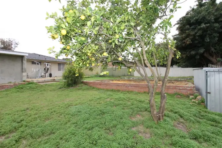 Fourth view of Homely house listing, 65 Koondoola Avenue, Koondoola WA 6064