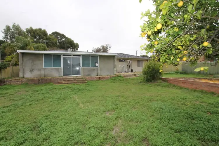 Fifth view of Homely house listing, 65 Koondoola Avenue, Koondoola WA 6064