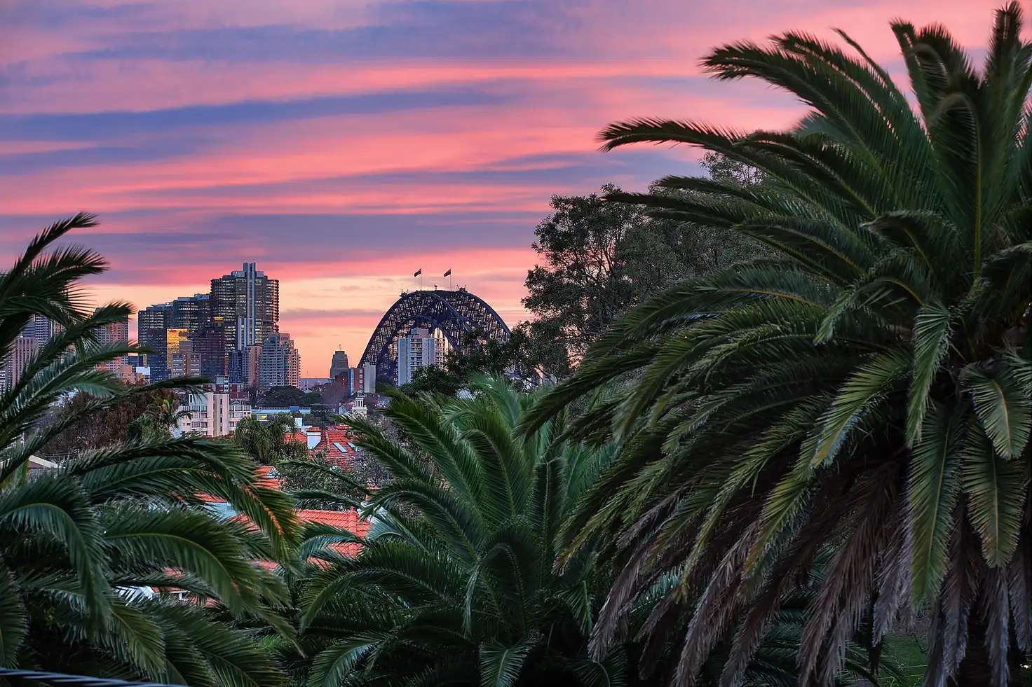 Main view of Homely apartment listing, 8/3A Reed Street, Cremorne NSW 2090