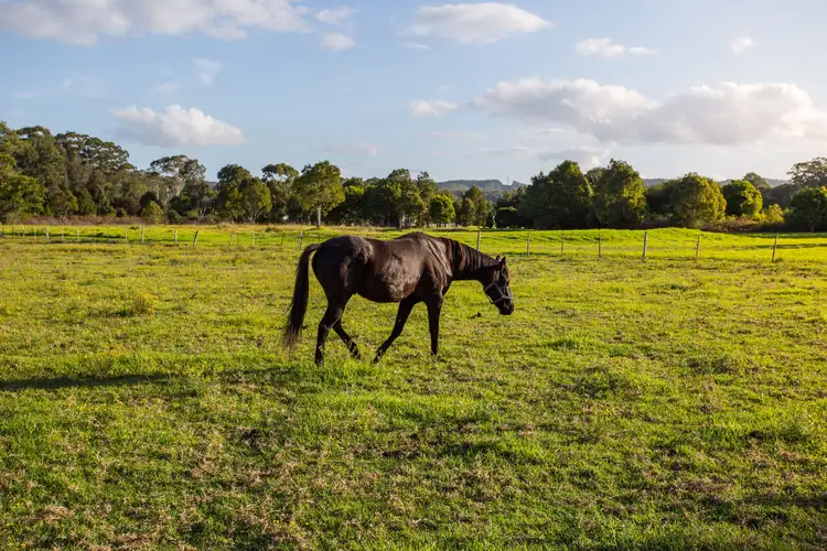 Third view of Homely land listing, 35 Mardi Road, Mardi NSW 2259