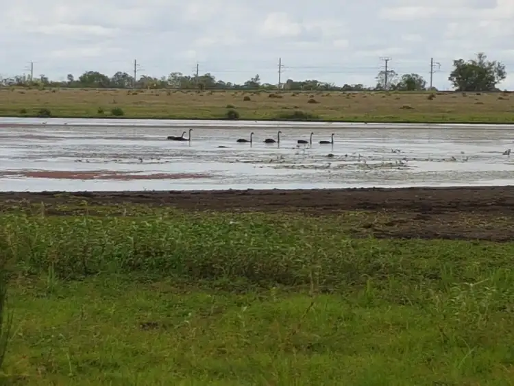 Fourth view of Homely rural property listing, 15 Watts Road (Lakeview), Gracemere QLD 4702