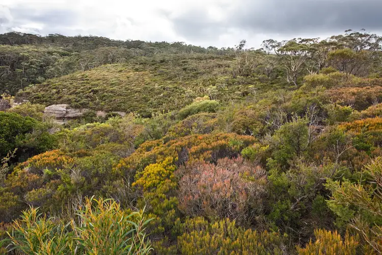 Sixth view of Homely land listing, 22-40 Mount Blackheath Road, Blackheath NSW 2785