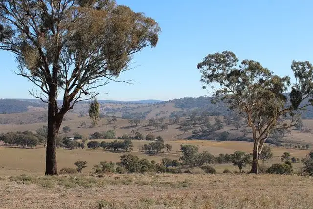 Third view of Homely rural property listing, Lot 22 25 Todds Road, Wisemans Creek NSW 2795