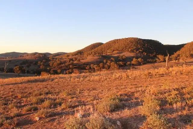 Fourth view of Homely rural property listing, Lot 22 25 Todds Road, Wisemans Creek NSW 2795