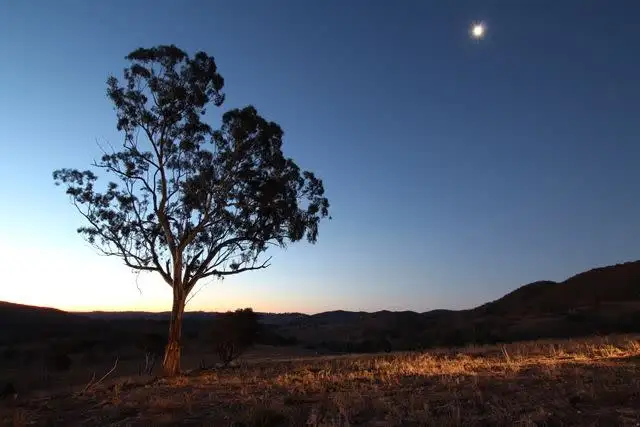 Fifth view of Homely rural property listing, Lot 22 25 Todds Road, Wisemans Creek NSW 2795