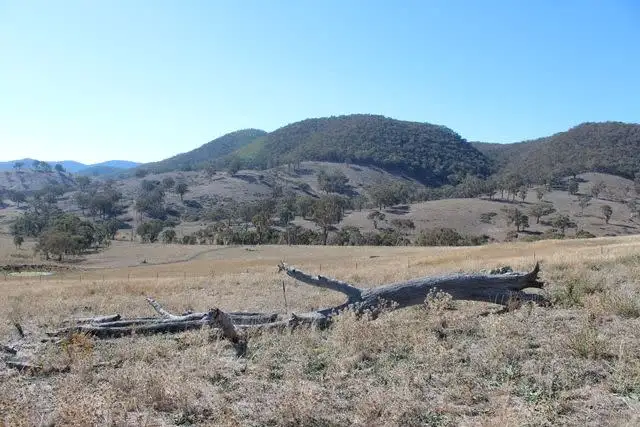 Sixth view of Homely rural property listing, Lot 22 25 Todds Road, Wisemans Creek NSW 2795