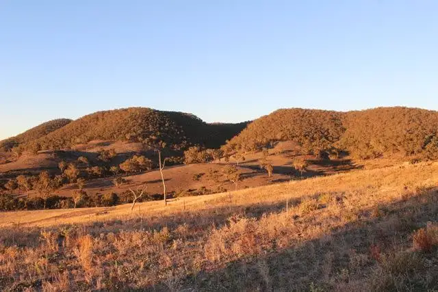 Seventh view of Homely rural property listing, Lot 22 25 Todds Road, Wisemans Creek NSW 2795